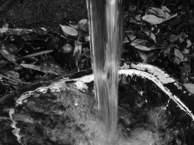 Revitalizing Garden Soil: Detailed Instructions to Enhance Your Plant Life