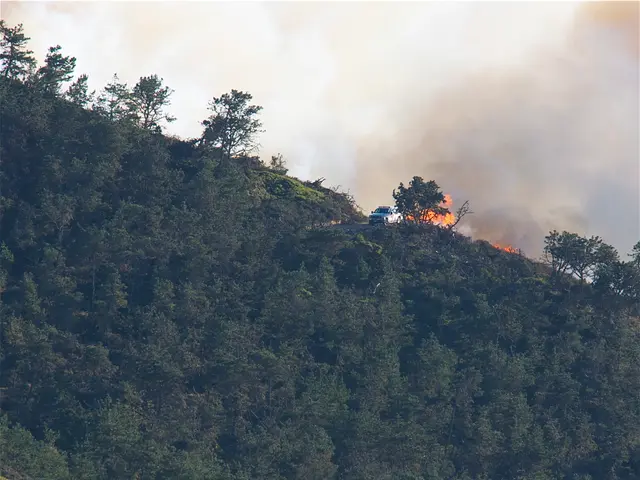 Southern Europe Struggles with Decade's Worst Wildfires: France Faces Largest Blaze in Half a...