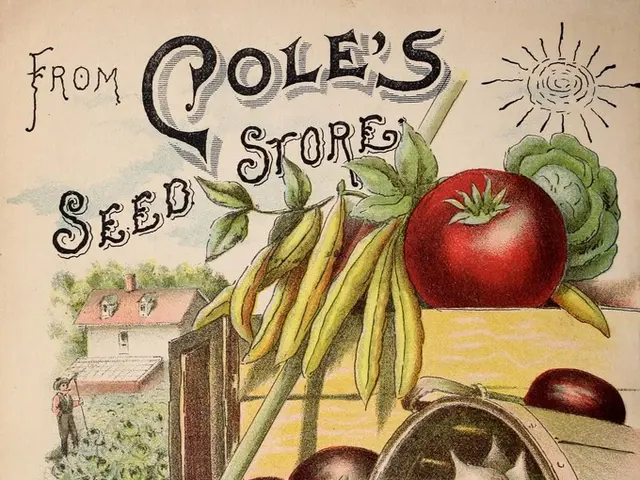 "Composting Explanation for Kids: Free Coloring Page"