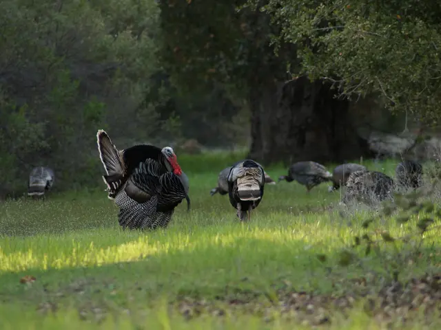 Comprehensive Insight into Outstanding Fishing Experiences on Grand Turk Island