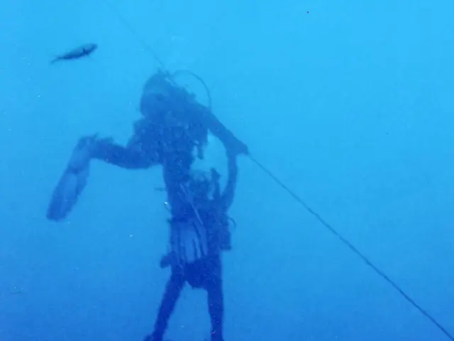 Beach-friendly Tankinis offering coverage, support, and boosting self-confidence for sunbathers