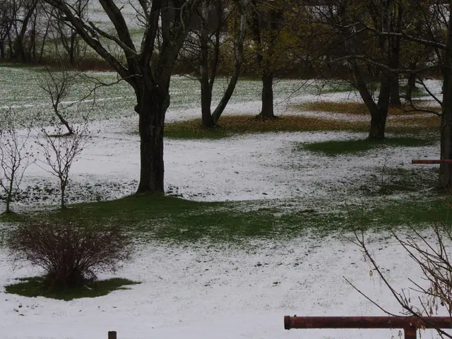 Evaluation of Robin Autopilot System