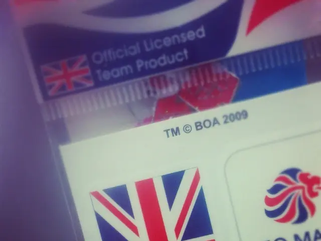 Acquiring a Digital Driver's License in Edomex: A Step-by-Step Guide