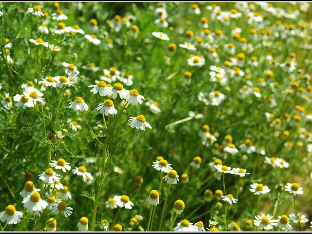 Vibrant Hues Contribute to a Positive Atmosphere