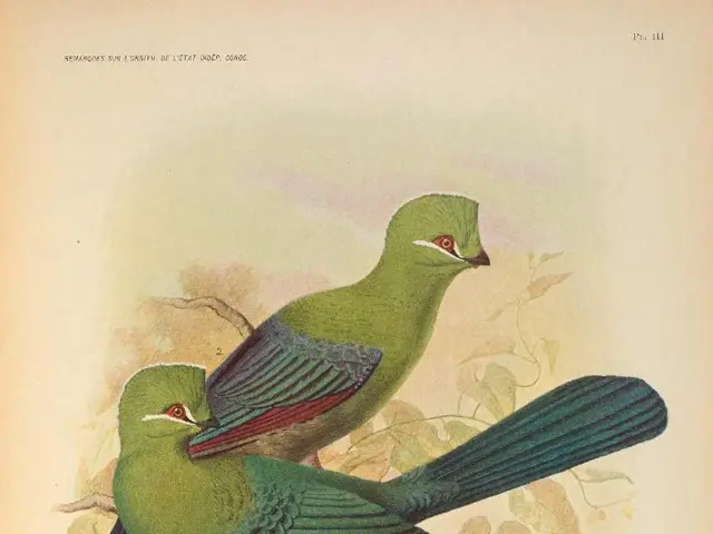 Top 12 Notable Journals for Recording Phenomenal Nature Findings Inspiring Awe Outdoors