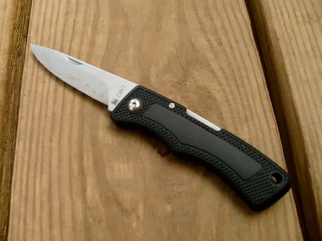 High-quality Knife Set Typically Costing Over a Hundred Dollars Now Available for Just $65.