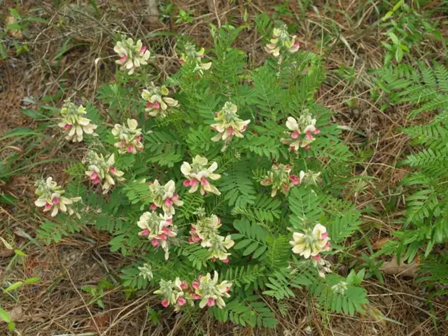 Restoring Dried Garden Soil: Easy Solutions for Garden Enthusiasts