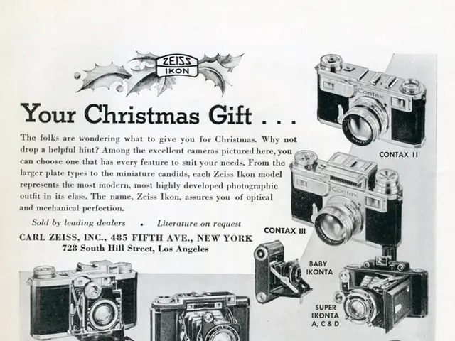 Identifying the Ideal Camera for Novices: Essential Factors to Consider (6 in Total)