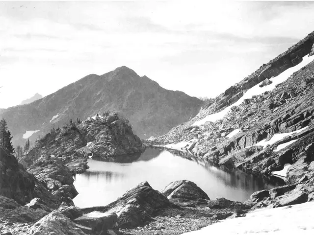 Landscaping Around Your Septic Tank: A Guide on How to Do It