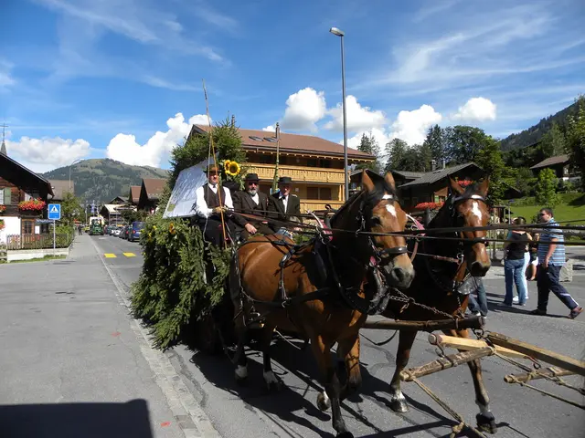 Protests persist to prohibit the New York City horse-drawn carriage industry, following a recent...