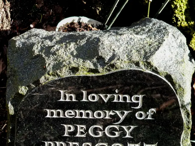 Permitted and Prohibited Items for Travel