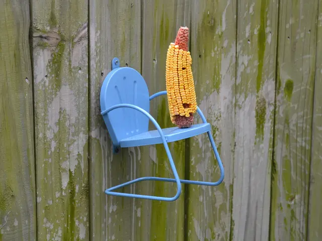 Plants can find protection and nourishment in corn leaves, making them not just a delicious and...