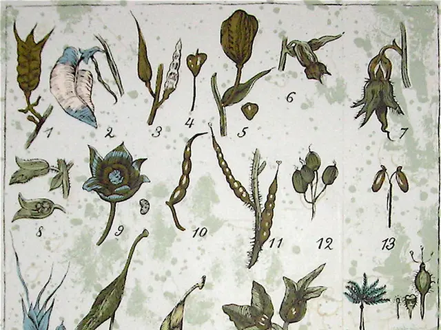 Managing Paulownia, or the Royal Empress Trees: Advice for Elimination Strategies