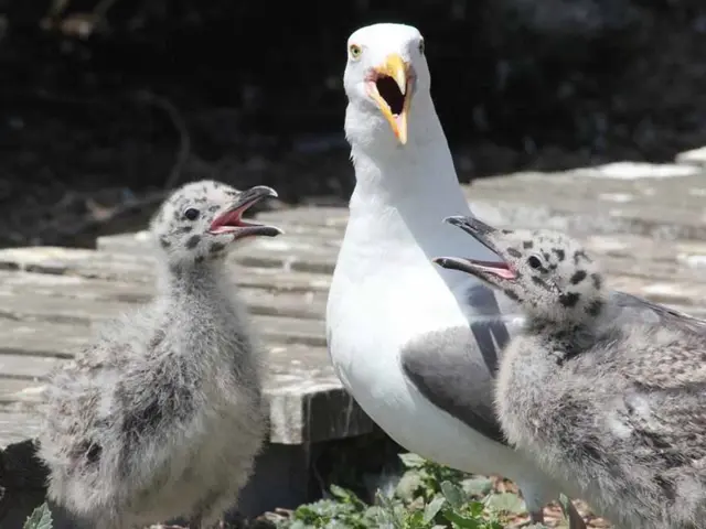 Activities Happening at the Botanical Garden in October
