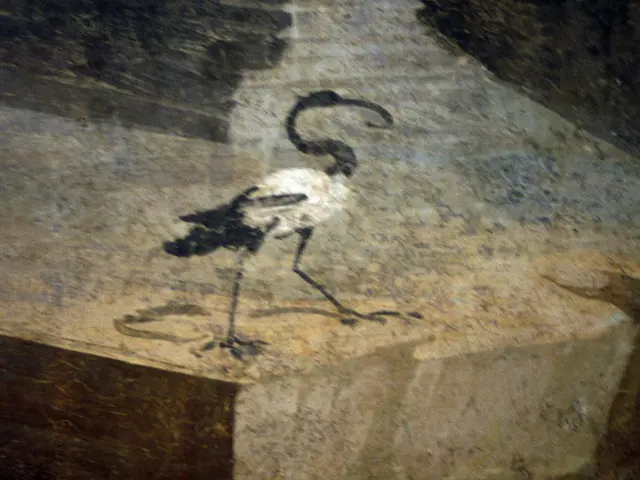 Man employs a crane to elevate a shed, demonstrating its non-permanent nature