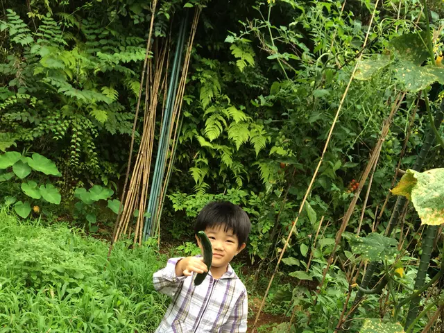 Anticipated clandestine gathering concerning next year's cucumber harvest