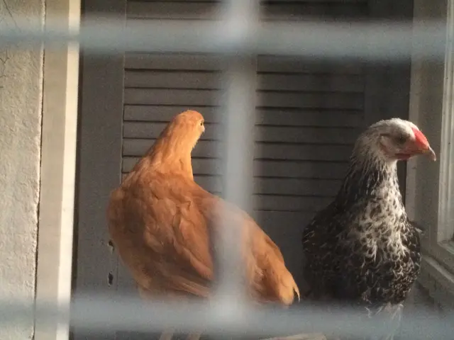 Farm transitions to the nursery, takes up residence there.