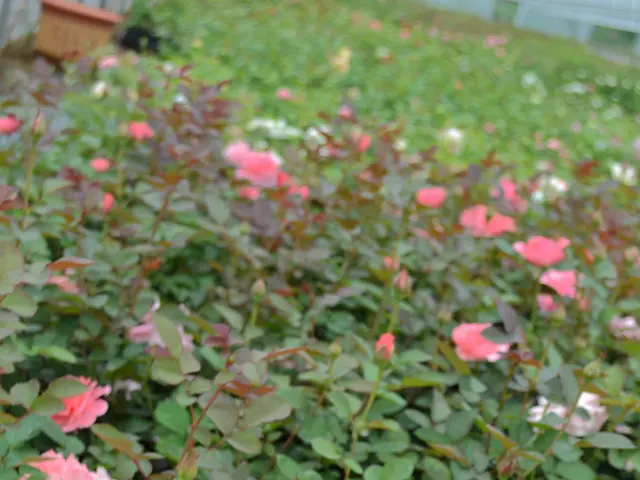 "Vodokanal" has successfully reaped a bountiful yield