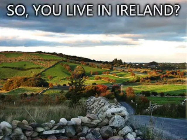 Annual return of Weedsport's Fireman's Field Days: Parades, amusement rides, and musical...