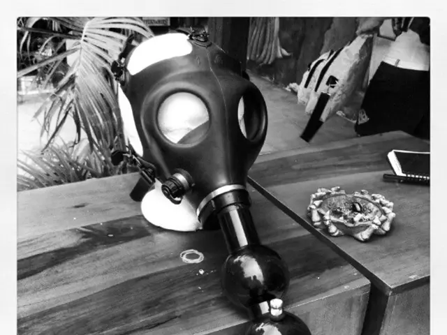 In this picture we can see a book, mask and other things on the tables, in the background we can...