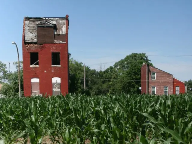 In this image I can see few buildings,trees,light pole,windows,dry grass and green plants. The sky...
